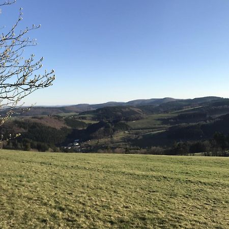 Gluehalm Willingen Villa Willingen  Kültér fotó