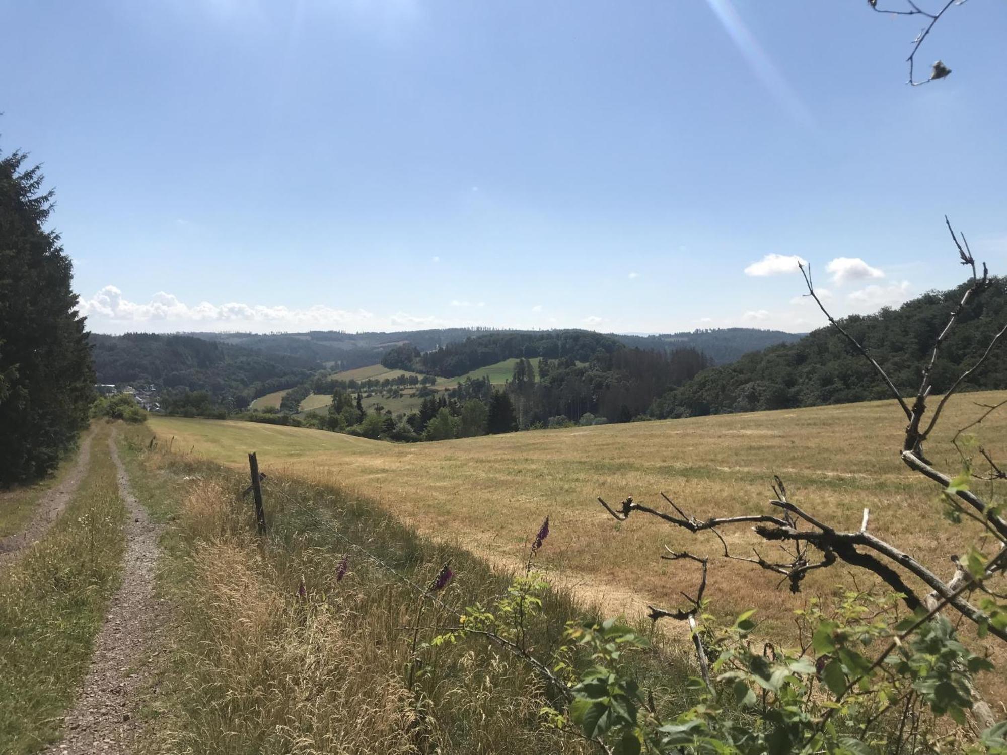 Gluehalm Willingen Villa Willingen  Kültér fotó