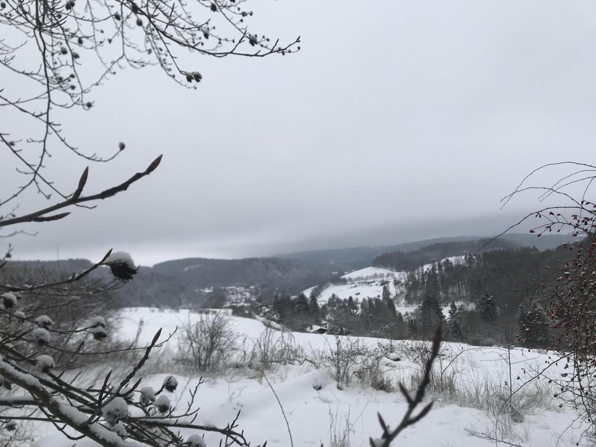 Gluehalm Willingen Villa Willingen  Kültér fotó